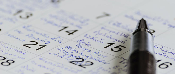 Como fazer uma pesquisa de mercado online em 7 dias